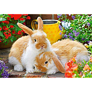 Puzzle 2x12 Little Cuddle