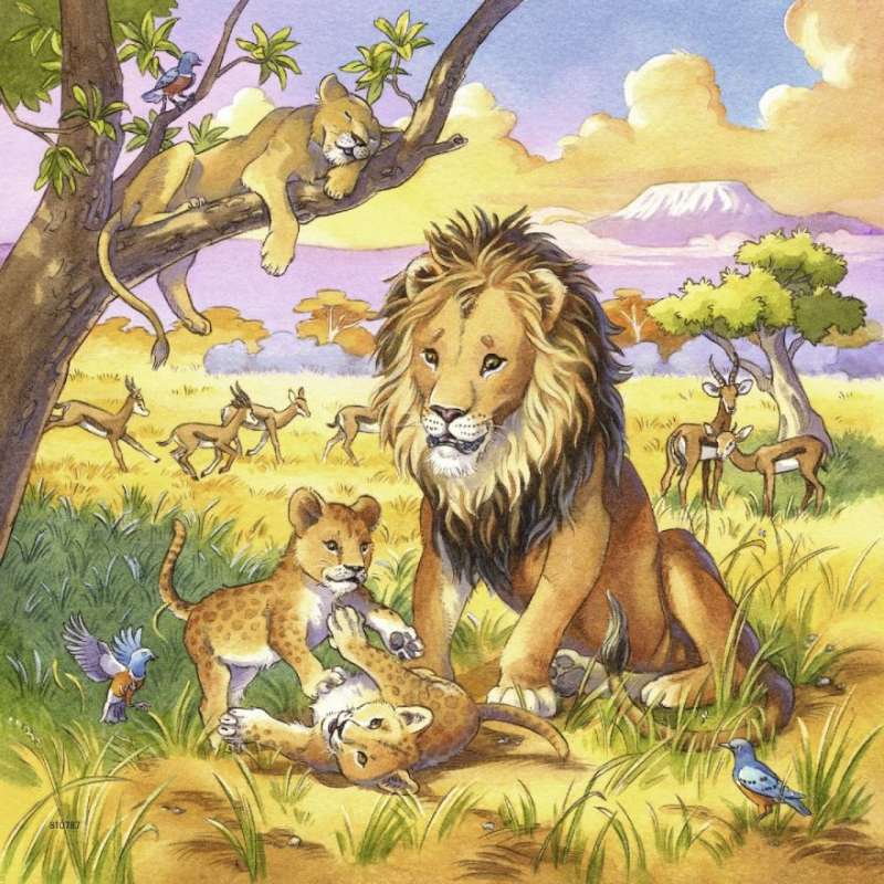 Puzzle 3x49 Wild Animals