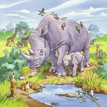 Puzzle 3x49 Wild Animals