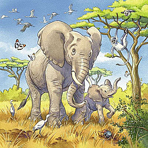 Puzzle 3x49 Wild Animals