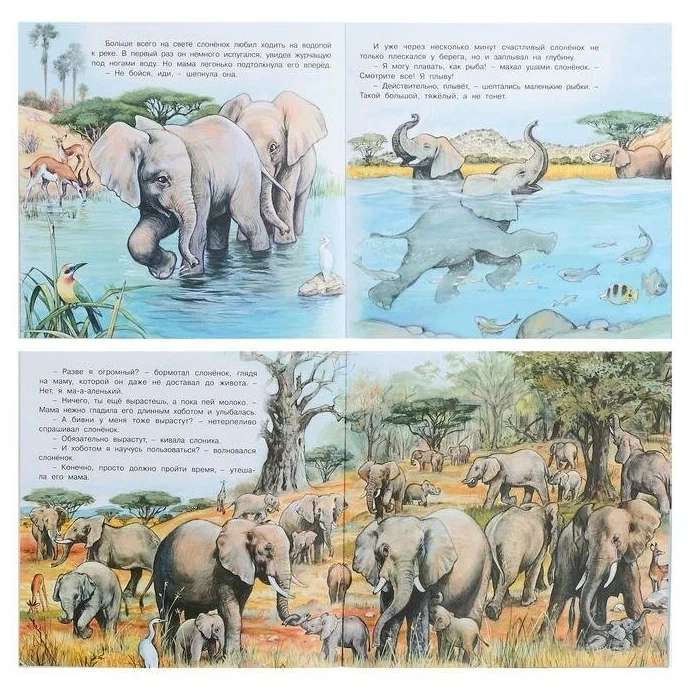 The Adventures of the Baby Elephant