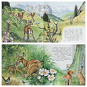 The Adventures of the Fawn