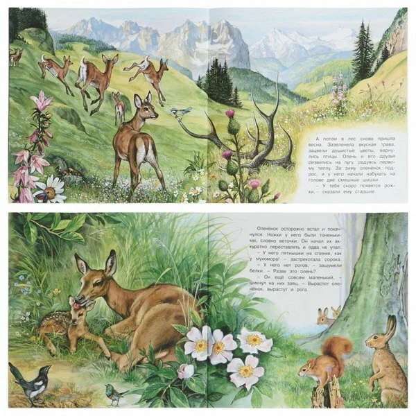 The Adventures of the Fawn