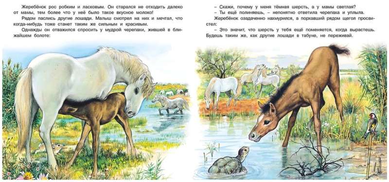 The Adventures of the Foal