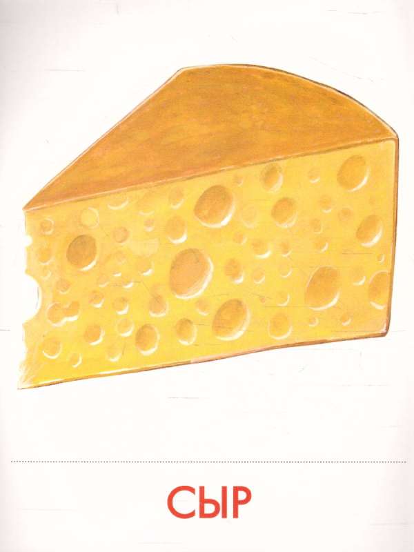 Didactic Cards - Food Products