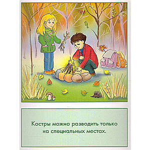 Didactic cards - Safe behavior in nature