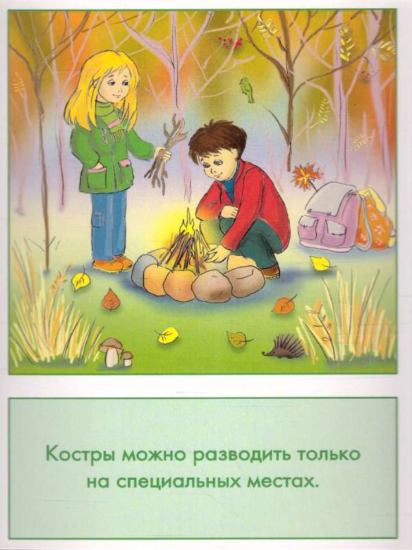 Didactic cards - Safe behavior in nature