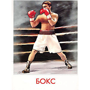 Didactic Cards - Sport