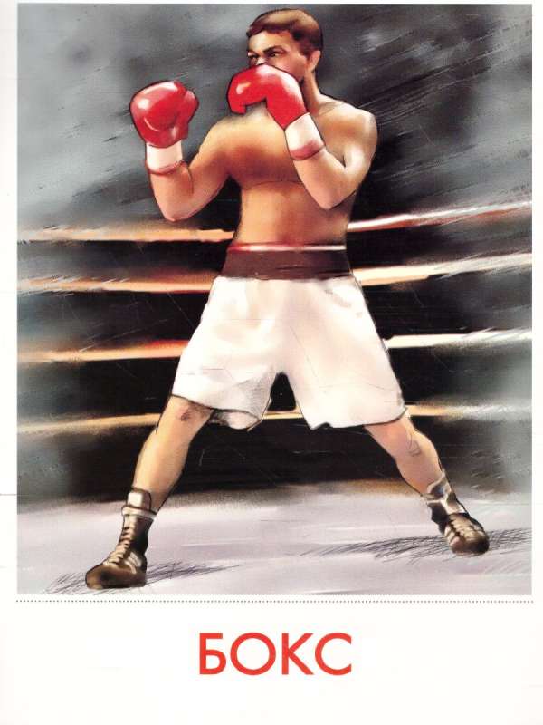 Didactic Cards - Sport