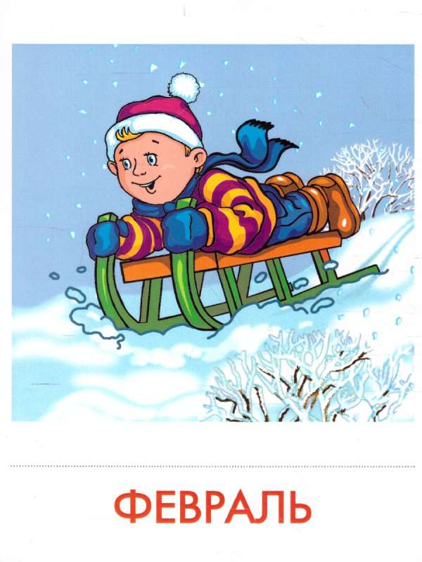Didactic Cards - Seasons