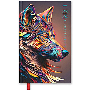 Diary A6 assorted