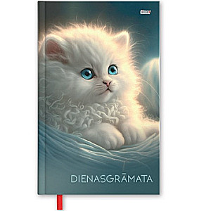 Diary A6 assorted