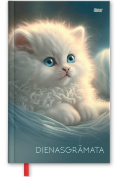 Diary A6 assorted