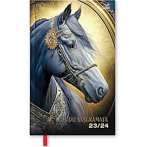 Diary A6 assorted