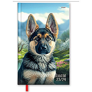 Diary A6 assorted