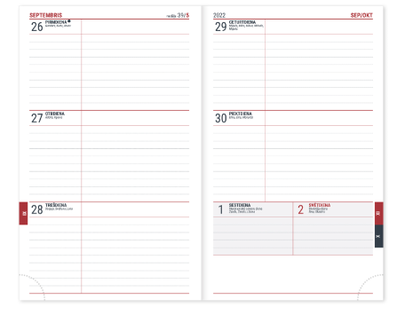 Diary A6 assorted
