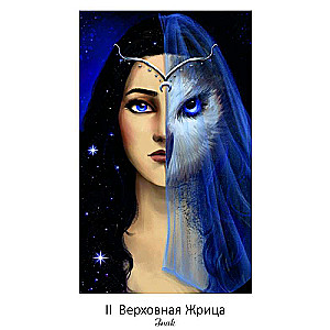 Tarot of Secret Visions 78 cards + book