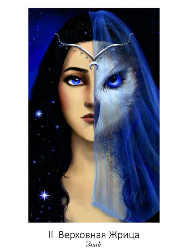 Tarot of Secret Visions 78 cards + book