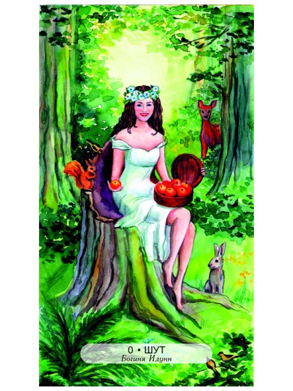 Tarot Connection with Higher Forces 78 Cards + Book