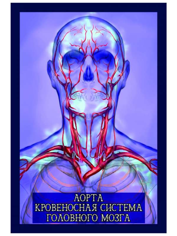 Healer's Cards Energy of Paracelsus 65 cards + book