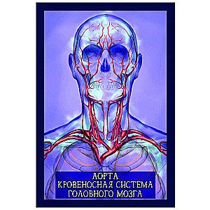 Healer's Cards Energy of Paracelsus 65 cards + book