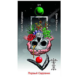 The Oracle of Cain. Reaper of the Left Side 52 cards + book