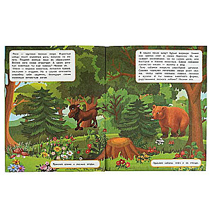 In the forest. Developmental tasks.