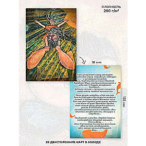 Metaphorical Postcards On the Back of a Whale. Metaphorical Stories of a Father and Daughter