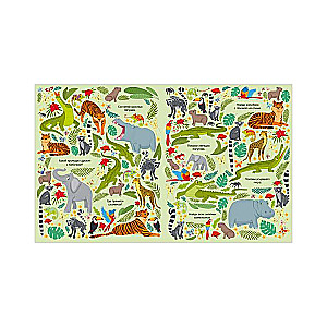 Find and Show. Big Book. Animals