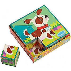 Smart cubes in a tray. 9 pieces. Favorites
