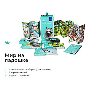 Developing Game - World on Palm Raccoon. Encyclopedia for Children