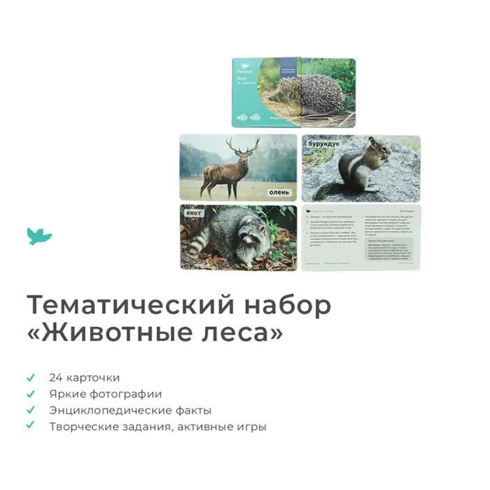 Developing Game - World on Palm Raccoon. Encyclopedia for Children