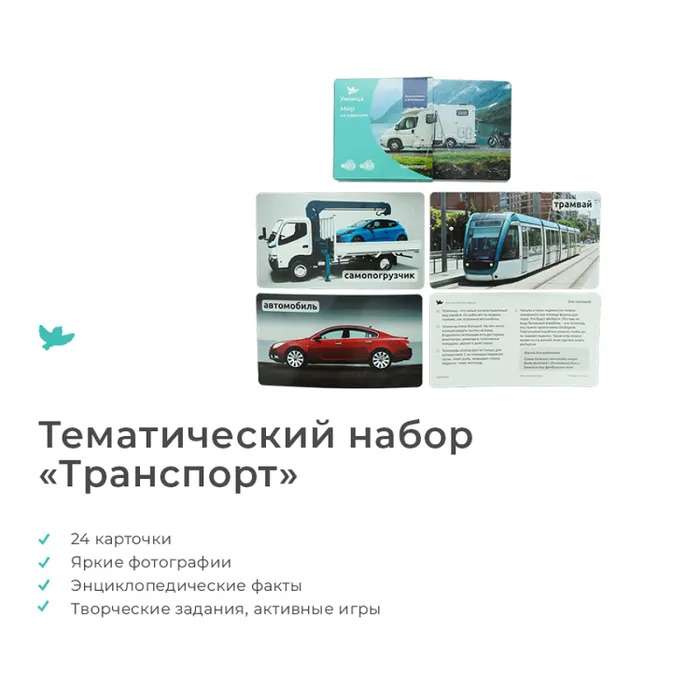Developing Game - World on Palm Raccoon. Encyclopedia for Children