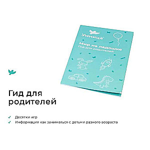 Developing Game - World on Palm Raccoon. Encyclopedia for Children