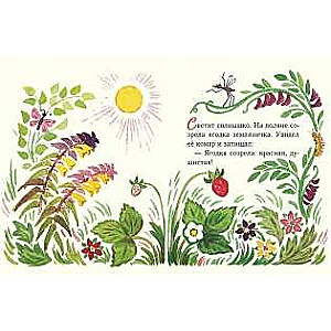 Strawberry. Small Pages