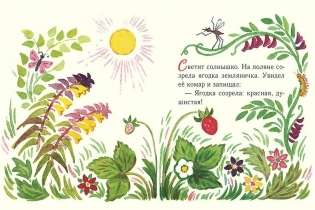 Strawberry. Small Pages
