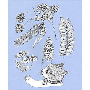 Yuko Higuchi's Coloring Book Invites You to the Meowseum