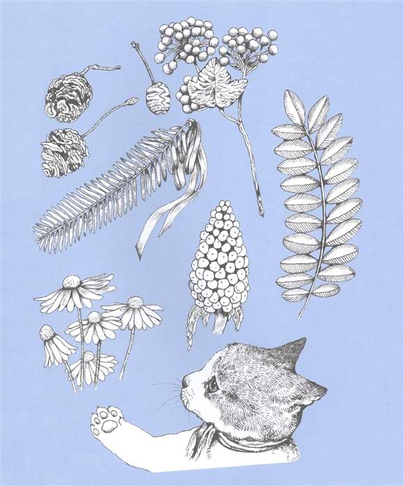 Yuko Higuchi's Coloring Book Invites You to the Meowseum
