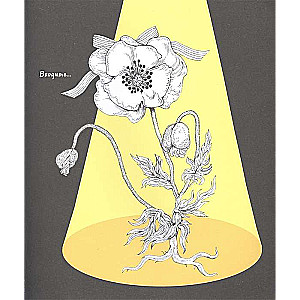 Yuko Higuchi's Coloring Book Invites You to the Meowseum