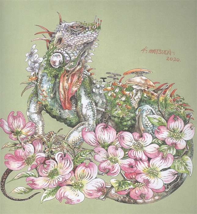 The Magical World of Ken Matsuda. Coloring Book and Sketchbook in One Cover. More than 45 Extraordinary Drawings