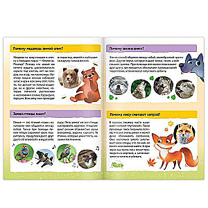 Why-Questions. Set of 6 Books