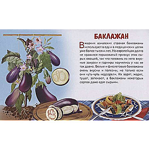Vegetables