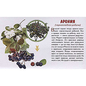 Garden Berries