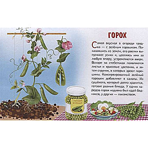 Vegetables