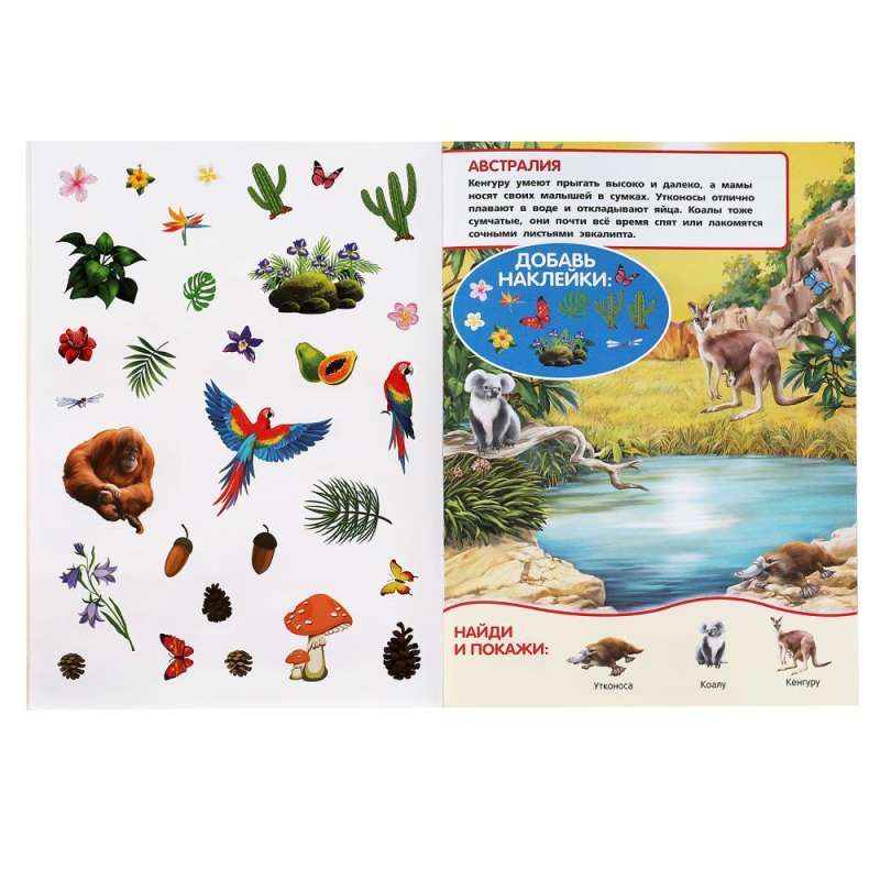 Animals of the World. Zoo. Activity +50 Find and Show. + stickers