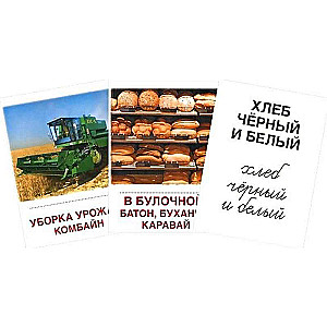 Set of Cards - Bread is the Head of Everything. 16 Handout Cards with Text