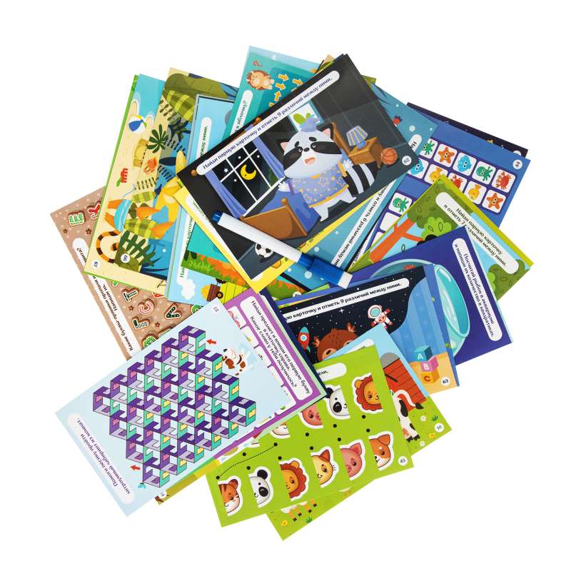 Educational Game Write-Erase Attention and Logic