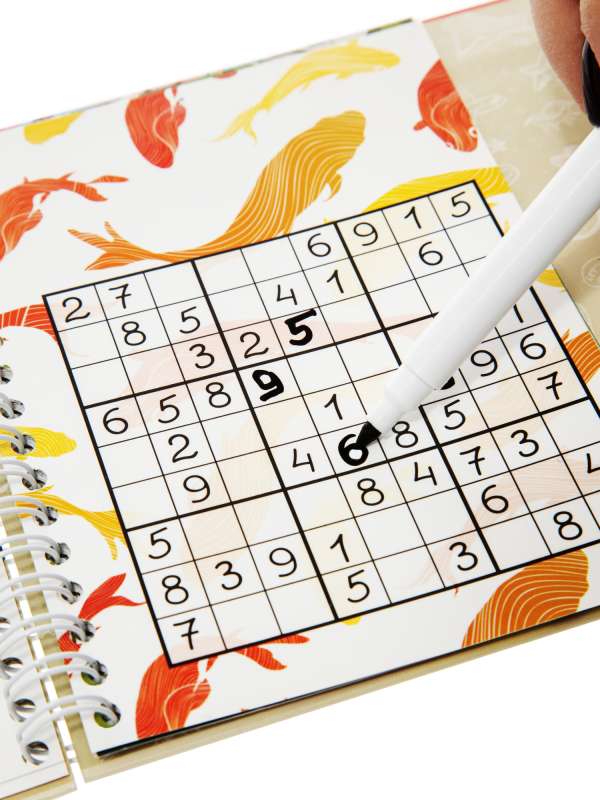 Žaidimai kelyje. Sudoku 8+ rašyk-trink