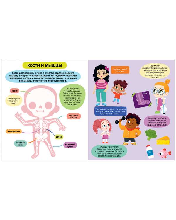 The Human Body. Amazing Encyclopedias
