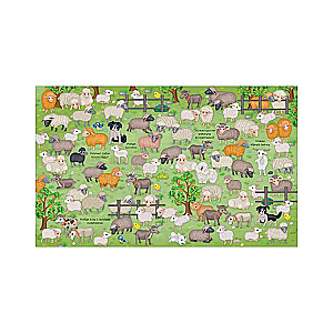 Find and Show. Animals